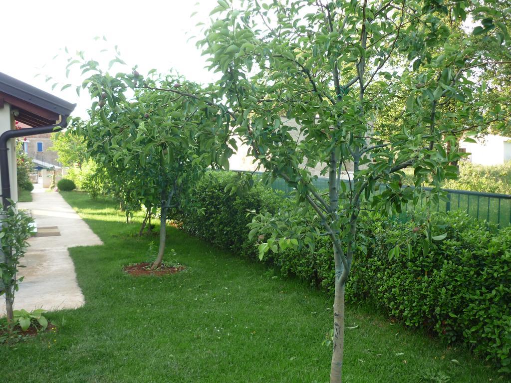 Rosini Apartmani Radin מראה חיצוני תמונה