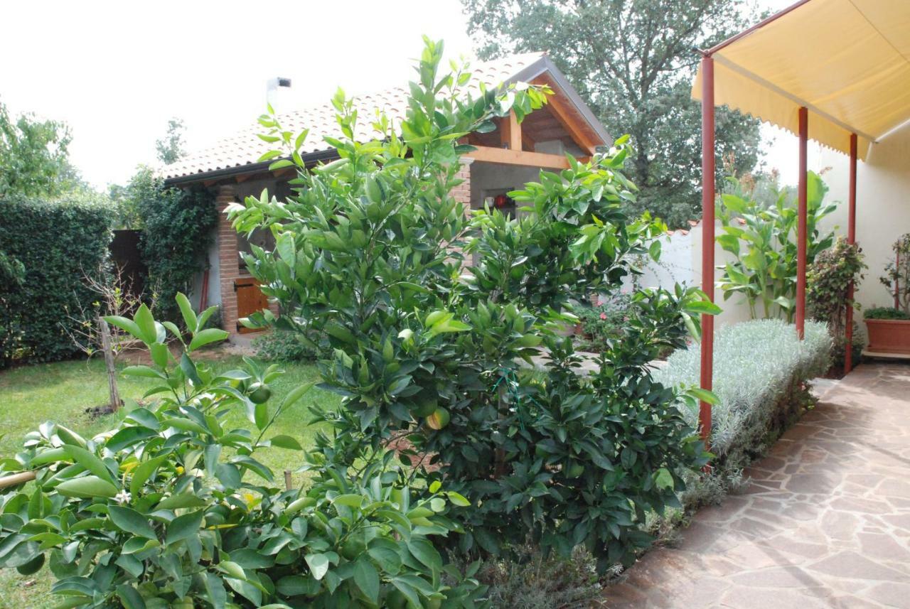 Rosini Apartmani Radin מראה חיצוני תמונה